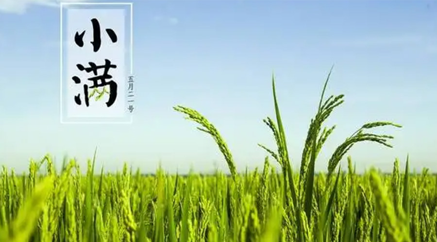 小滿時節(jié)！金環(huán)電器提醒大家要注意的事項