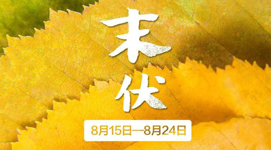 末伏時節(jié)！金環(huán)電器提醒你謹(jǐn)記這些注意事項(xiàng)