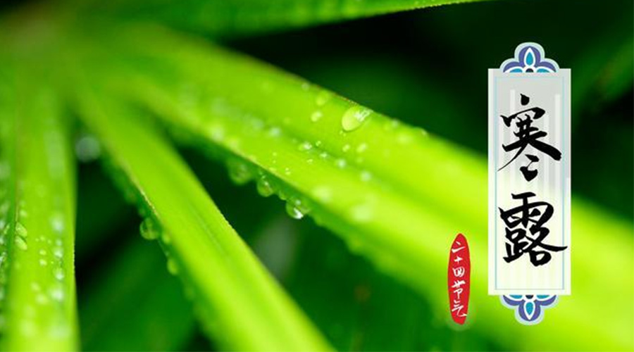 寒露時(shí)節(jié)到！金環(huán)電器提醒這些干衣事項(xiàng)要注意