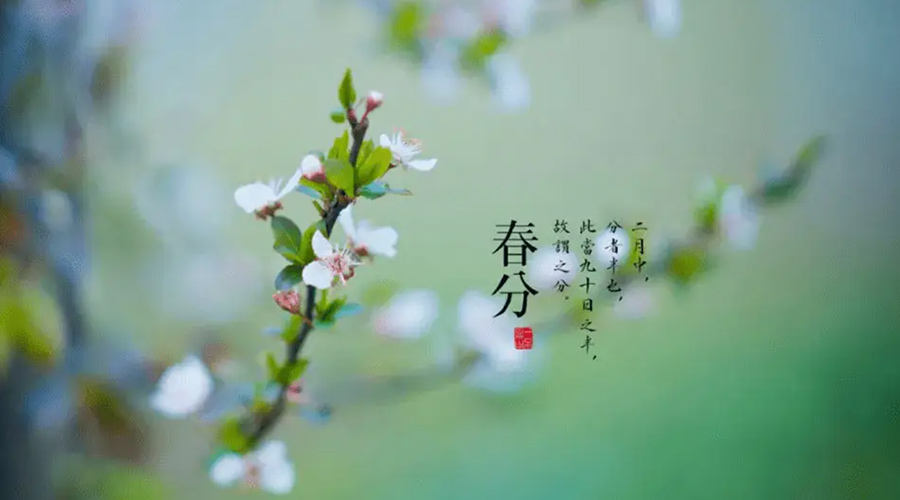 春分雨水多易生菌！金環(huán)電器提醒你衣物要注意處理