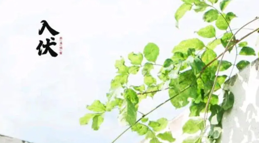 初伏時節(jié)！金環(huán)電器提醒大家要注意的事項