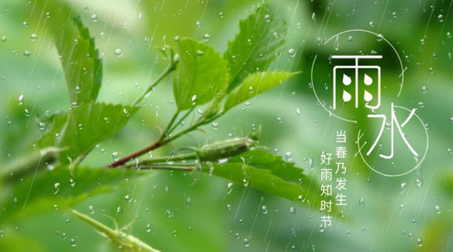 雨水時(shí)節(jié)！金環(huán)電器提醒大家要注意的事項(xiàng)