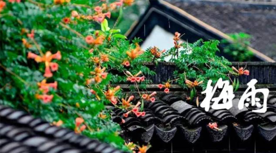 什么是梅雨？梅雨如何形成？  金環(huán)電器告訴你答案